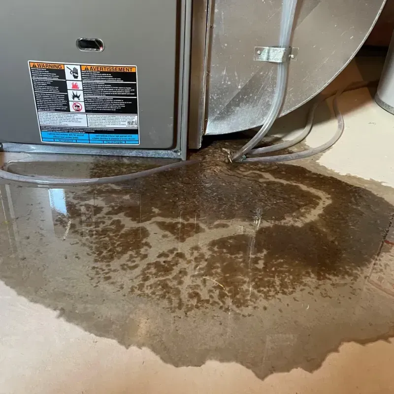 Appliance Leak Cleanup in Grain Valley, MO